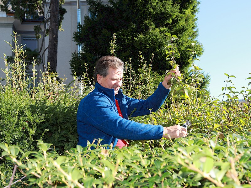 Ein Tag im Leben von…